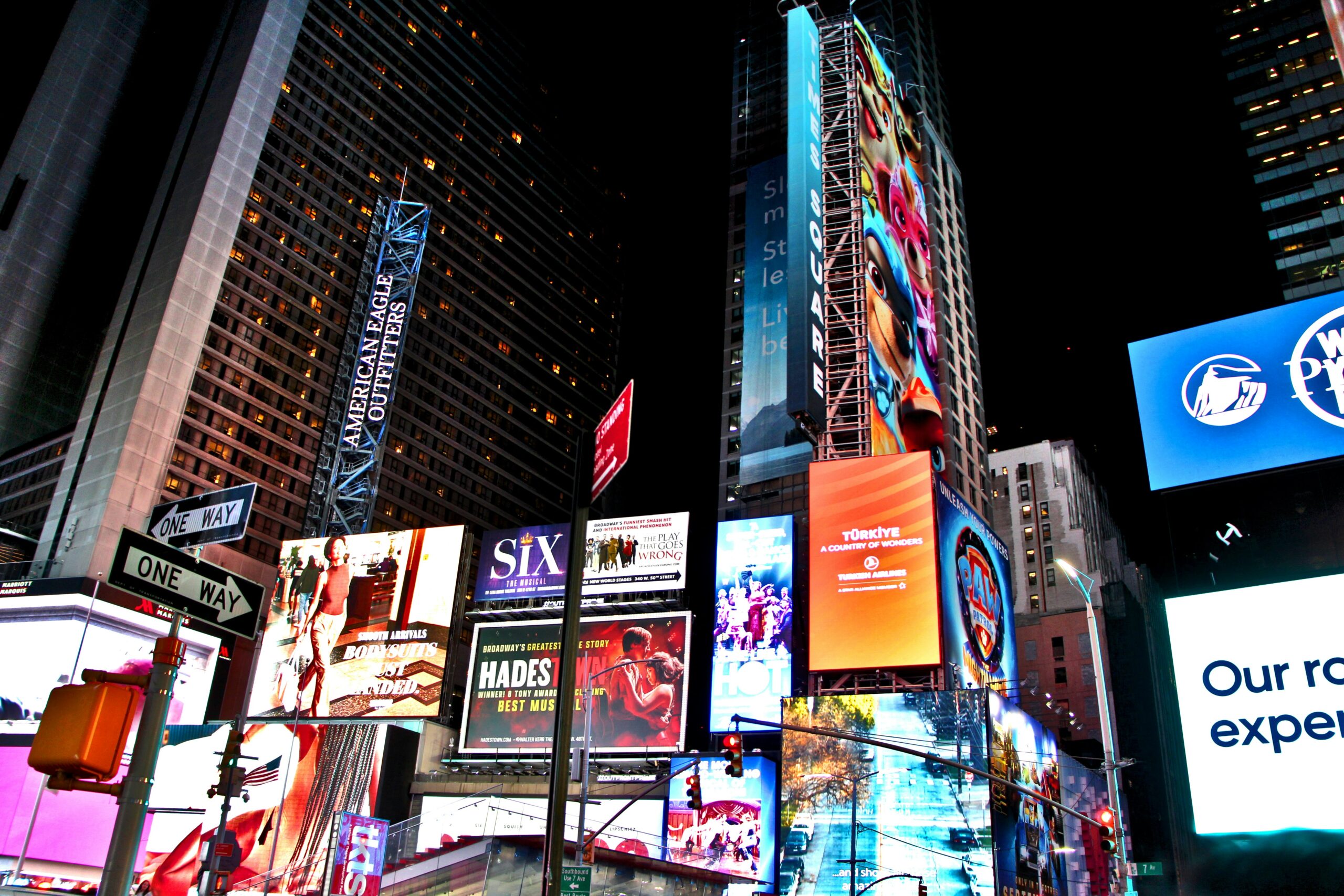 Puppy Adoption Highlights