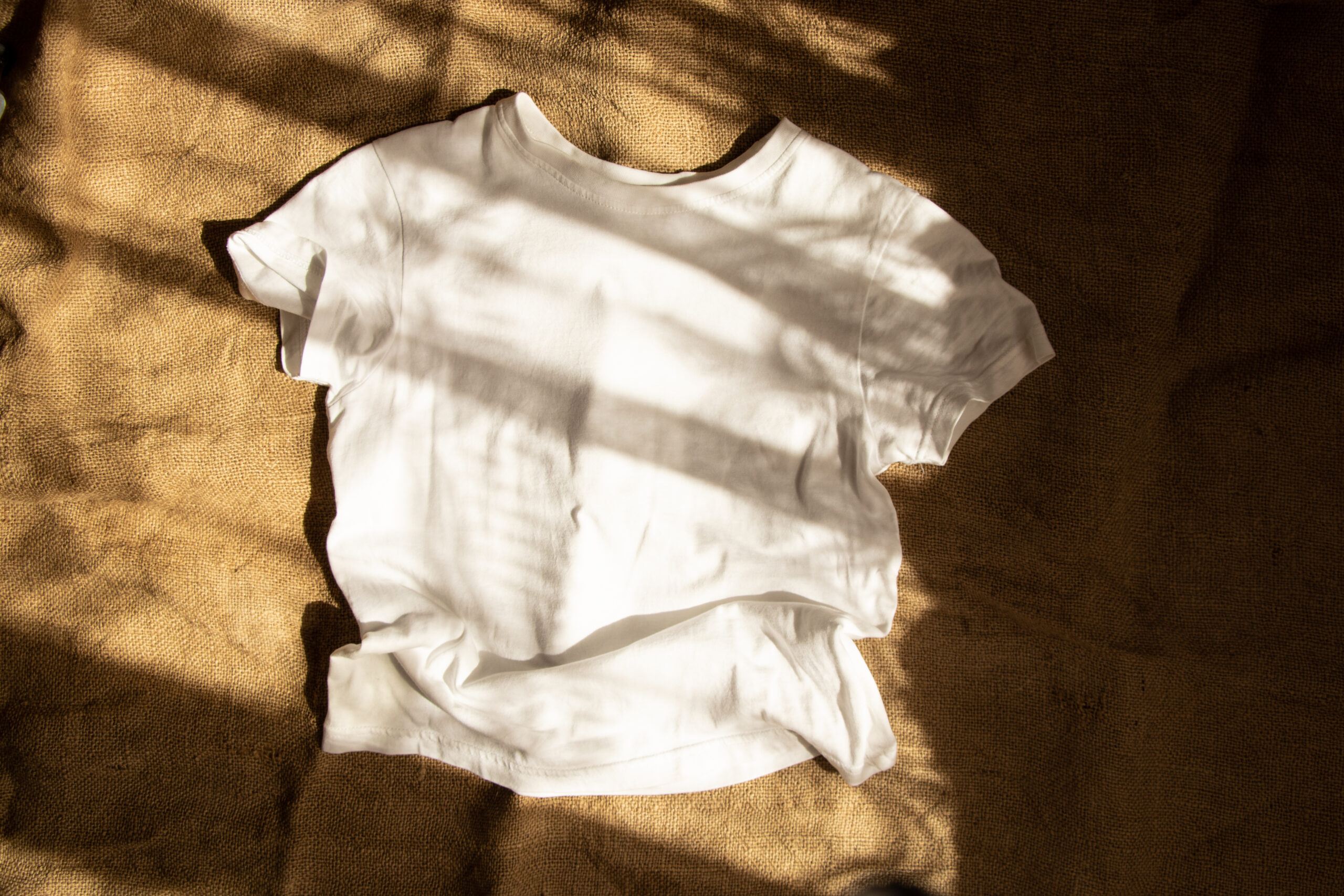 Daily Memes: Your RSVP to the Biggest Online Party