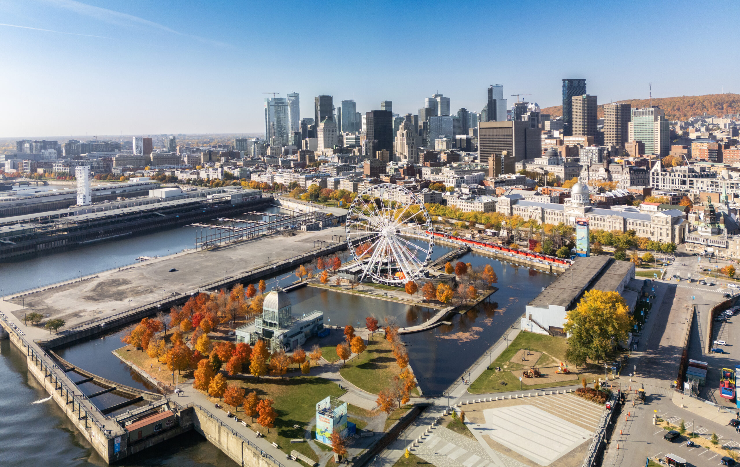 This is my new title