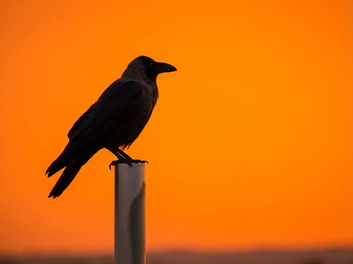 Make Your Budget Feel Effortless: Let AI Sort Your Expenses for You