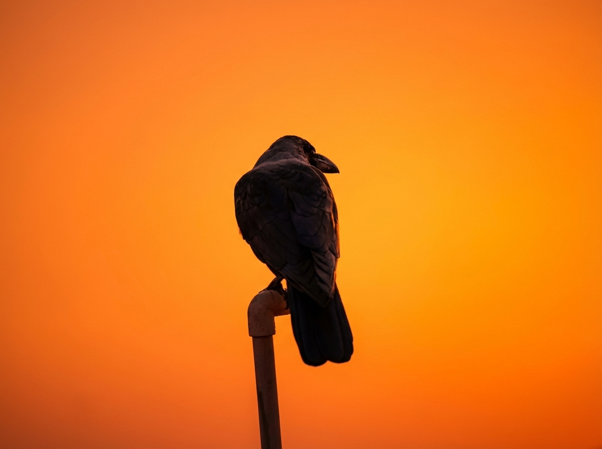 Why Manual Budgeting Feels Exhausting — And How AI Expense Categorization Changes Everything 💡